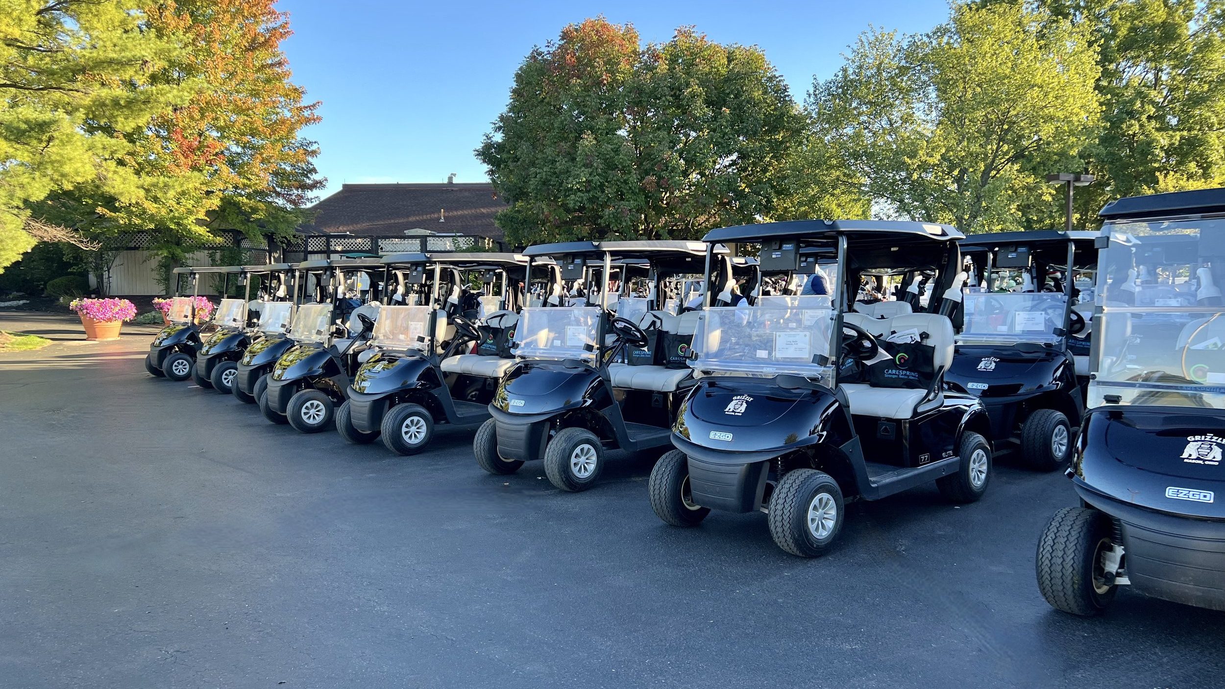 row of golf carts